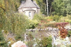 DSC05514